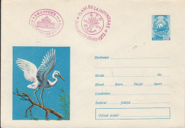 49218- GREAT EGRET, BIRDS, COVER STATIONERY, 1973, ROMANIA - Pélicans