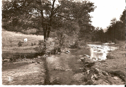 BOURSEIGNE NEUVE (5575) : La Houille Près Du Moulin. CPSM. - Gedinne