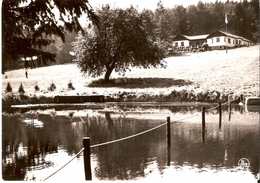 Louette-Saint-Pierre (5575) : Vue Générale Du Centre De Vacances De L'Y.W.C.A., Prise Depuis L'étang. CPSM Peu Courante. - Gedinne