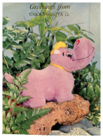 (246) Australia - QLD  - Greetings From Coolangatta (pink Hippopotamus / Cute !) - Sunshine Coast