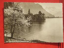 Veytaux (VD) -  Chateau De Chillon Dents Du Midi Im Frühling - Veytaux