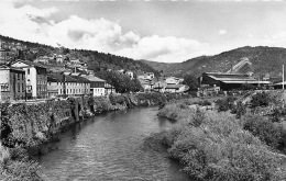 30   BESSEGES   LA VALLEE DE LA CEZE  ET L'USINE DES TUBES - Bessèges