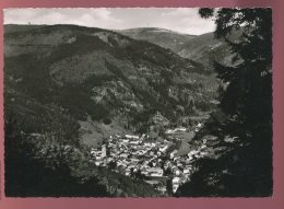 CPM Allemagne TODTNAU Schwarzwald Mit Feldbergblick - Todtnau