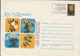 49497- ROSE HIP, ST JOHN'S WORT, YARROW, PERIWINKLE, MEDICINAL PLANTS, COVER STATIONERY, 1974, ROMANIA - Geneeskrachtige Planten