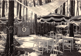 Delcampe - CPSM - SAINTE MAXIME - Hostellerie De Beauvallon - Sainte-Maxime