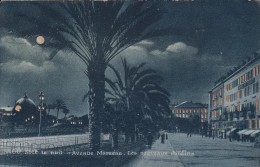 G , Cp , 06 , NICE , La Nuit , Avenue Masséna , Les Nouveaux Jardins - Nice La Nuit