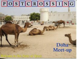 Postcrossing Meet Up In Qatar - Doha Meet Up  - Camel And Fort - Oman