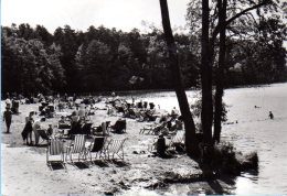 Stechlin Neuglobsow - S/w Badestrand Am Stechlinsee - Neuglobsow