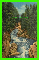 WILMINGTON, NEW YORK  - THE FLUME GORGE IN AUSABLE RIVER - C. W. HUGHES & CO INC - - Adirondack