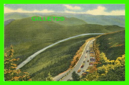 ADIRONDACK MTS, NY  -VIEW OF THE PARKING LOT MEMORIAL HIGHWAY & ESTHER MOUNTAIN FROM FOOT TRAIL - - Adirondack