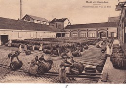 MOET ET CHANDON  MANUTENTION DES VINS EN FUT (chloé6) - Champagne-Ardenne