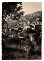 84 - Cpsm - BEAUMES DE VENISE - Vue Générale - Beaumes De Venise