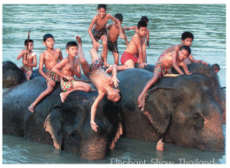 (654) Thailand - Elephant Show With Semi Naked Thai Boys - Elefanti