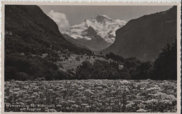 Blumenwiese Bei Wilderswil Mit Jungfrau - Photo: G. D'Aguanno No. 4067 - Wilderswil