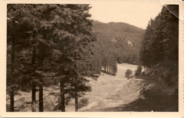 Suhl Goldlauter Heidersbach - S/w Blick Zum Bochmersgrund - Suhl