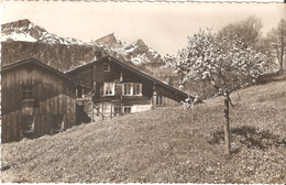 Hasliberg - Frühling In Goldern - Hasliberg