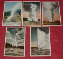 Lot 5 Cartes Postales Yellowstone Park :::: Geysers  ---------   380 - Yellowstone