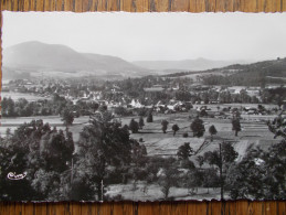 88 - ANOULD - Vue Sur Le Souche - Au Fond, La Papeterie. (CPSM) - Anould