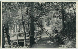 Ilmenau - Döllstädtweg - Verlag Carl Schwarz Ilmenau - Ilmenau