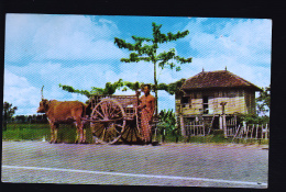 CAMBODGE - Cambodge