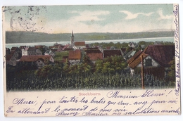 STECKBORN: Weinreben Mit Dorf Und See 1903 - Steckborn