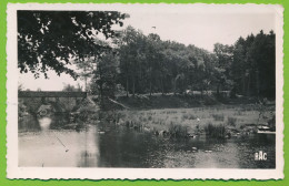 Environs De NANTIAT - Le Pont De La Crêche Ford Vedette Auto Photo Véritable Circulé 1957 - Nantiat