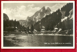 HBE-14 Vue Rapprochée Lac Tanay 1420 M, Et Les Jumelles. Cachet Lac Tanay Sur Vouvry. Non Circulé. SG - Vouvry