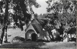 Faremoutiers (Seine-et-Marne) - Ses Environs: La Chapelle De Saint-Aubierge - Edition E. Mignon, Carte Non Circulée - Faremoutiers