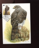 Belgie Buzin Vogels Birds Uit Reeks 4030/34 Maximumkaart RR Cachet Sindelfingen Germany 10/2010 - 2001-2010
