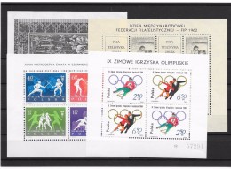 POLONIA . CONJUNTO DE HOJAS BLOQUE - Unused Stamps