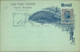 BRESIL - Entier Postal Non Voyagé- A Voir - L 2660 - Entiers Postaux