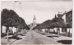 Rosières-en-Santerre. Avenue Des Déportés. - Rosieres En Santerre