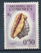 Comores YT 19 Obl - Usati