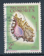 Comores YT 21 Obl - Used Stamps