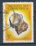 Comores YT 22 Obl - Usati