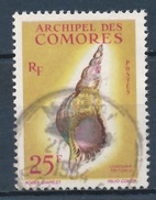 Comores YT 24 Obl - Used Stamps