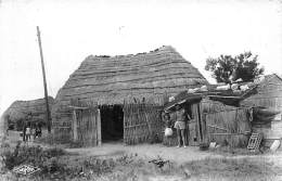 Sigean    11       Cabane De Pêcheurs - Sigean