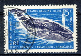 TAAF 1966 N. 22 F. 5 Usato Catalogo € 16 - Oblitérés