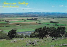 Australia Barossa Valley General View Looking West From Menglers Hill - Barossa Valley