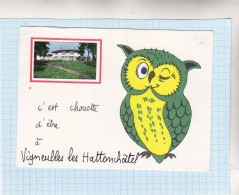 CPSM -  C'est Chouette D'être à VIGNEULLES LES HATTONCHATEL - Carte Illustrée Avec Photo En Encart - Vigneulles Les Hattonchatel