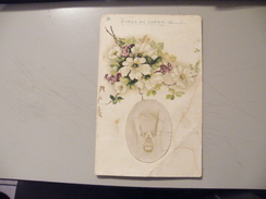A395. CPA. Fleurs. Pyrus De Japon. ..  Beau Plan .. écrite & Voyagée 1904 - Geneeskrachtige Planten