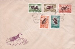 Hongrie - Lettre - Postmark Collection