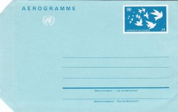 Nations Unies - Entiers Postaux - Other & Unclassified
