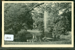 ANSICHTKAART * ZEIST * WALKARTPARK * GELOPEN IN 1956 NAAR HAARLEM  (3823) - Zeist