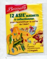 Magnet Brossard Asie Crocodile - Magnets