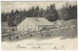 Suisse - LES PONTS DE MARTEL - Ferme De La Petite Joux. Animée, Alpages. - Ponts-de-Martel