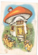 # BV 3124  MUSHROOMS, DUCKS, POST CARD, POSTAL STATIONERY, ROMANIA - Mushrooms