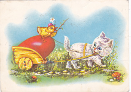 # BV 3125  MUSHROOMS, PLANTS, DUCK, CAT, ANIMALS, POST CARD, POSTAL STATIONERY, ROMANIA - Paddestoelen