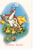 # BV 3127  MUSHROOMS, PLANTS, DUCK,, ANIMALS, POST CARD, POSTAL STATIONERY, ROMANIA - Pilze