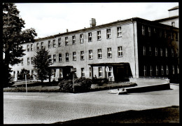 6667 - Alte Foto Ansichtskarte - Frankenberg - Krankenhaus Kr. Hainichen - N. Gel - Frankenberg